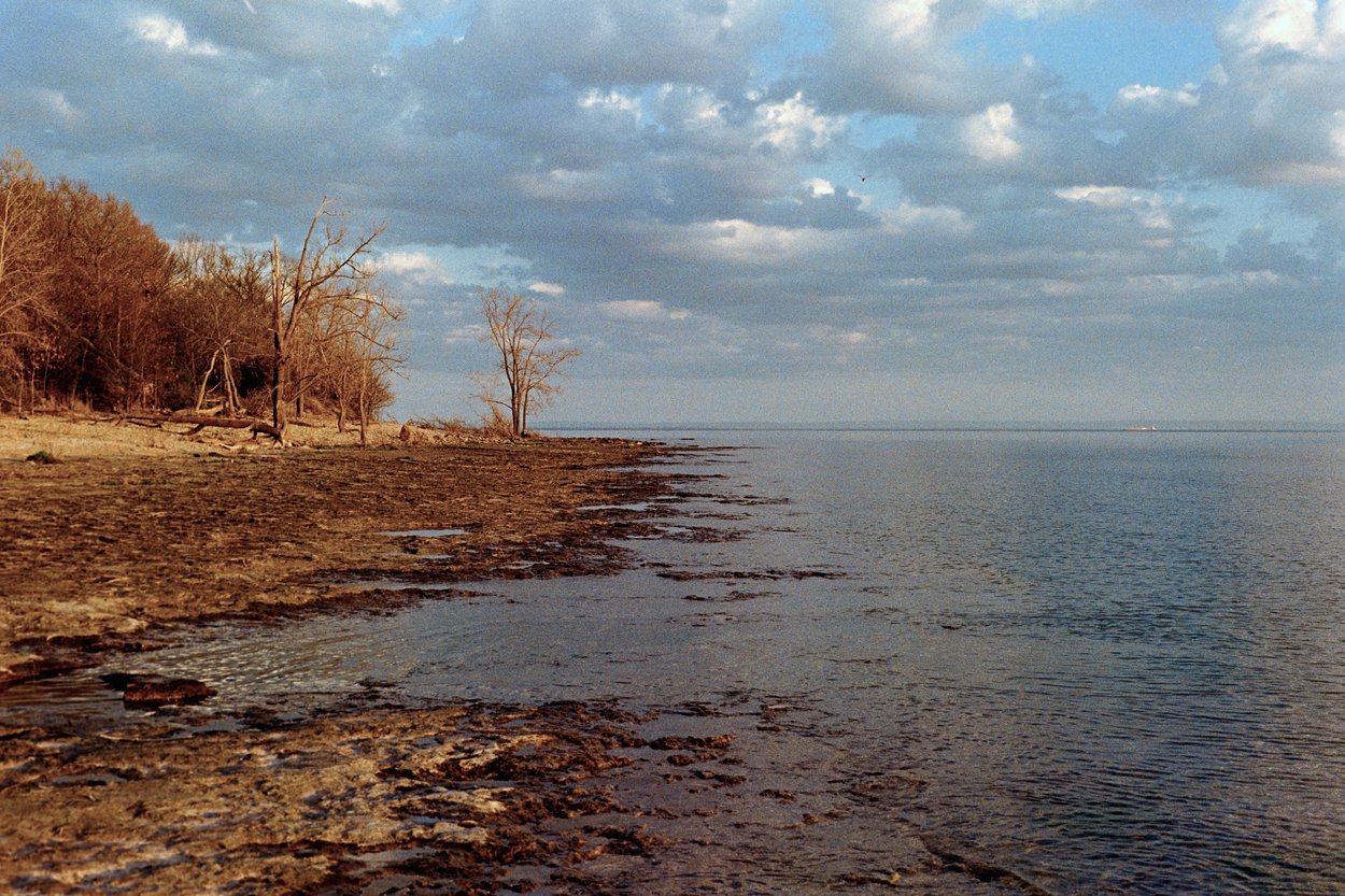 A serene lakeshore scene featuring a rugged, exposed shoreline of rocky and muddy terrain in the foreground, dotted with bare, leafless trees along a wooded bank on the left. The calm water stretches out to the horizon where a faint vessel is visible in the distance. Above, a dynamic sky filled with textured clouds in shades of blue and gray suggests a cool, overcast day, likely in late autumn or early spring given the dormant vegetation.